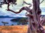 Washington Park, Anacortes, Washington